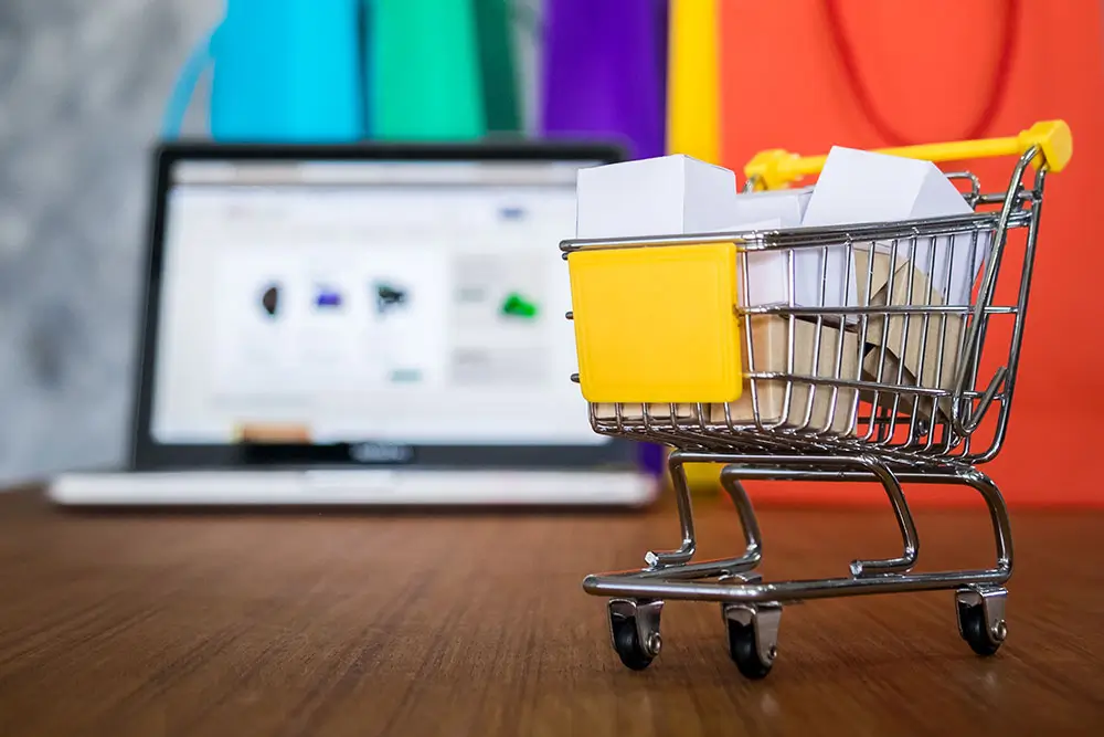 e commerce development